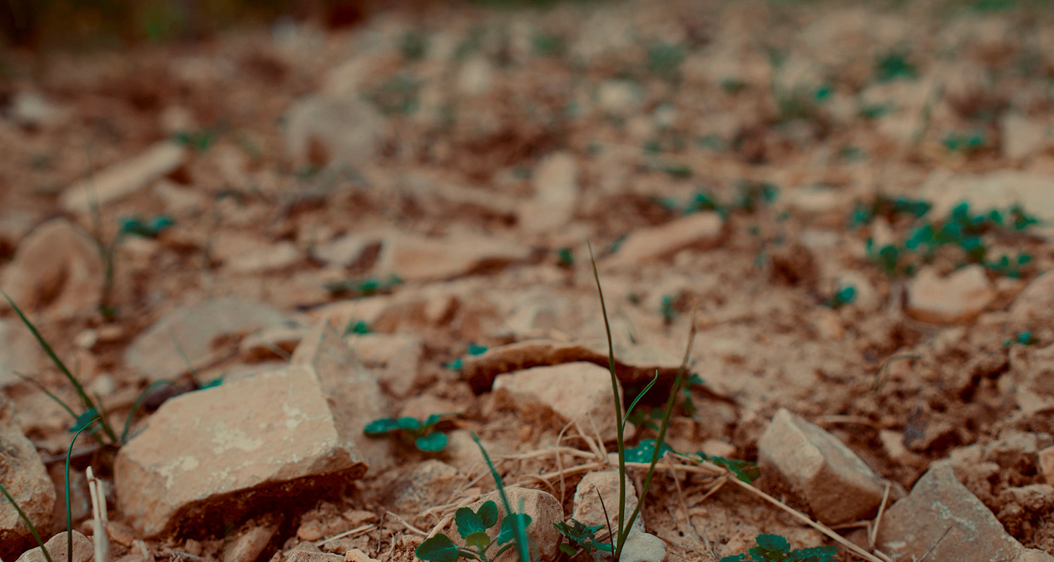 colvert-terroir