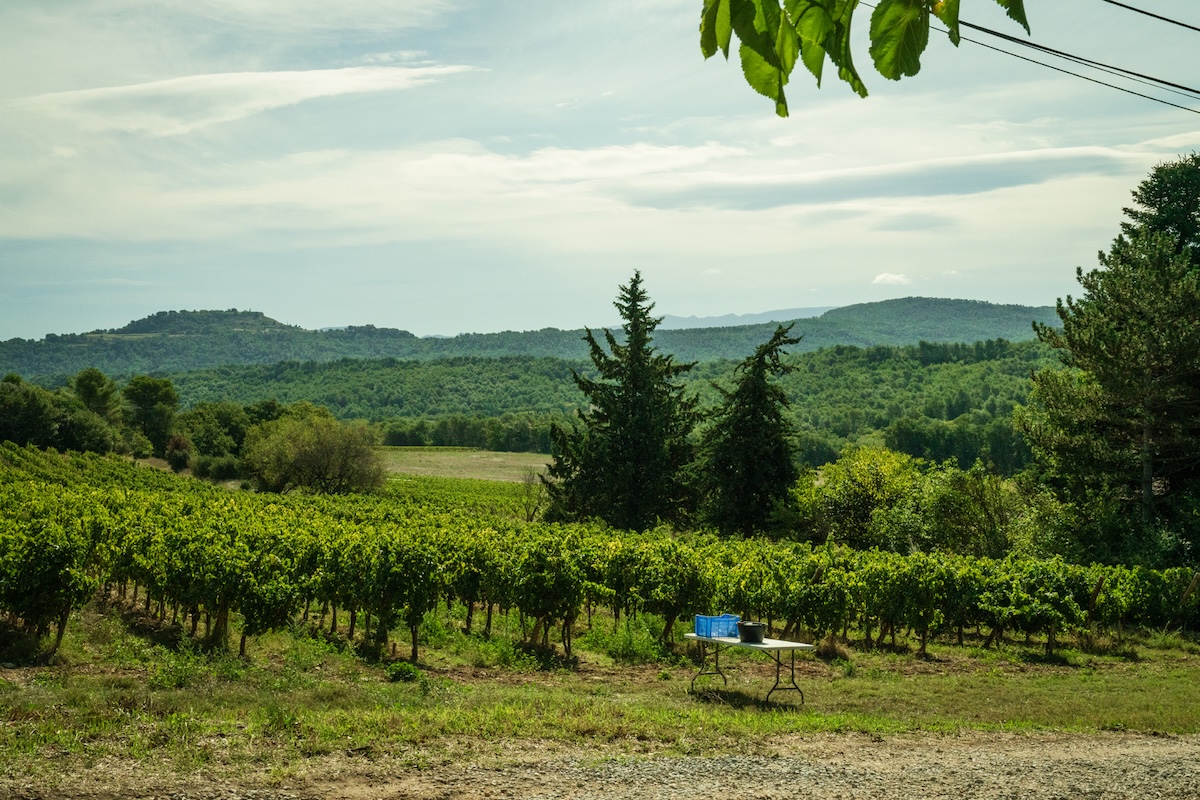vins de provence nature colvert