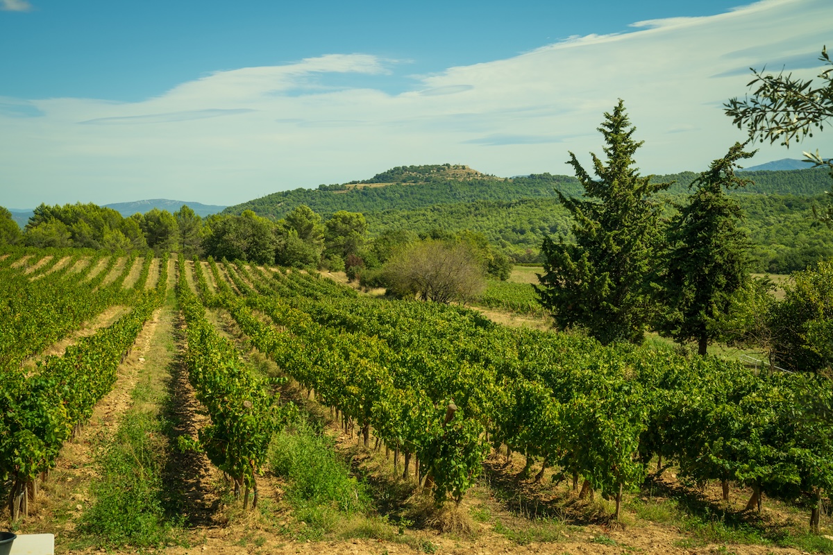 vins de provence nature colvert