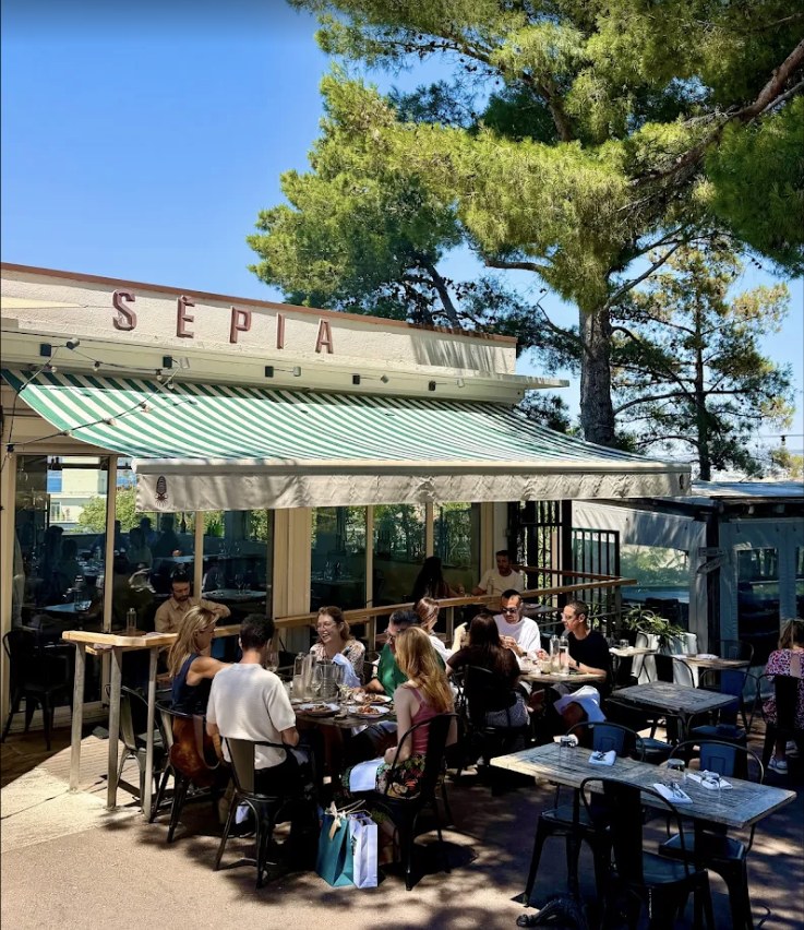 Terrasse ombragée sous les pins du restaurant Sépia à Marseille