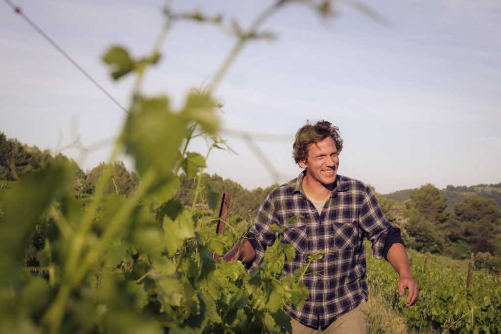 Marc Kemlin, vigneron de Colvert, dans ses vignes du Domaine des Ribières à Rognes