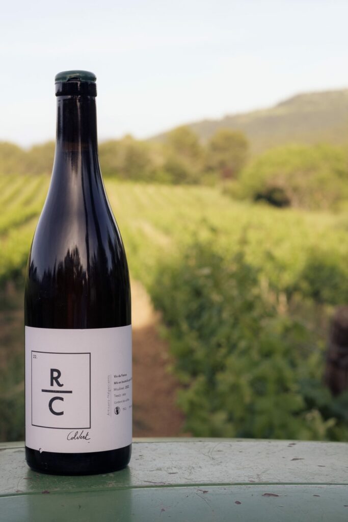 Bouteille de R/C, vin blanc nature de Rolle, face aux vignes